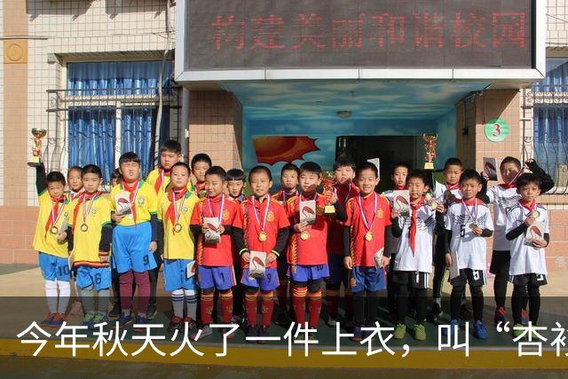 今年秋天火了一件上衣，叫“杏衫”！美得优雅又高级，配裤子、裙子都好看