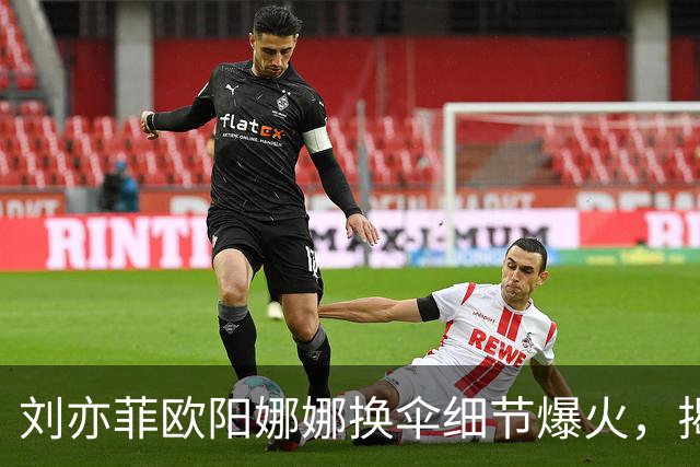 刘亦菲欧阳娜娜换伞细节爆火，揭穿娱乐圈最大误会