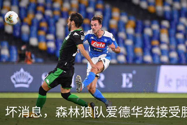 坏消息，森林狼队爱德华兹接受膝关节镜手术，将缺席两个月