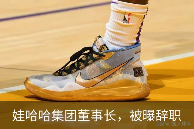 娃哈哈集团董事长，被曝辞职