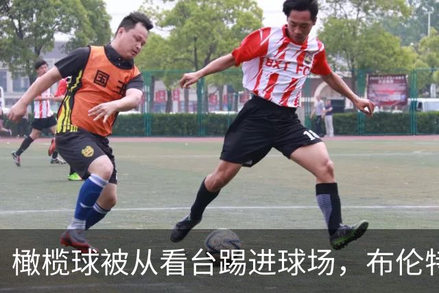 橄榄球被从看台踢进球场，布伦特福德报警称行为危险