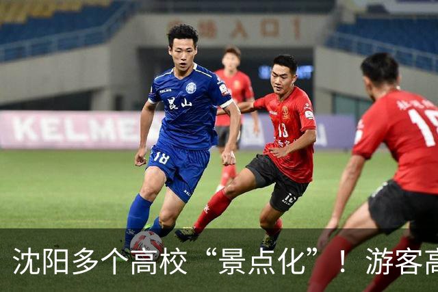 沈阳多个高校“景点化”！游客高兴，学生却懵了...