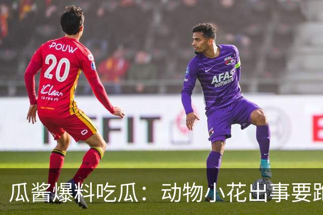 瓜酱爆料吃瓜：动物小花出事要跑路？