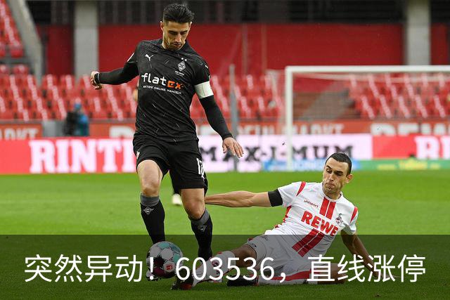 突然异动！603536，直线涨停
