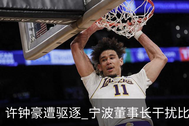 许钟豪遭驱逐 宁波董事长干扰比赛被停赛+罚款3万