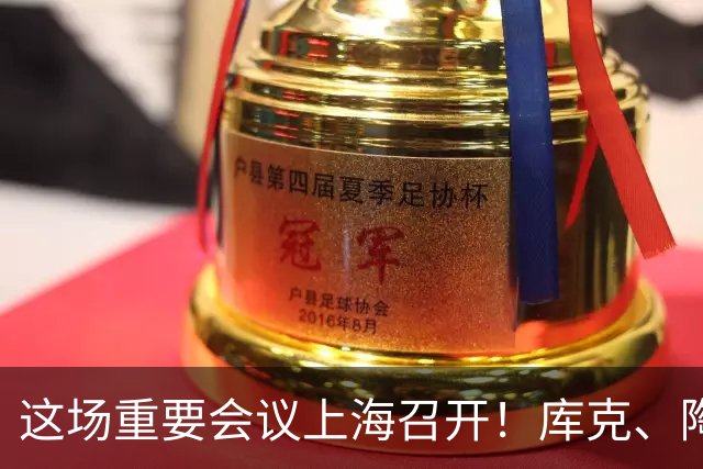 这场重要会议上海召开！库克、陶玲、赖秀福等多位大咖，最新发声