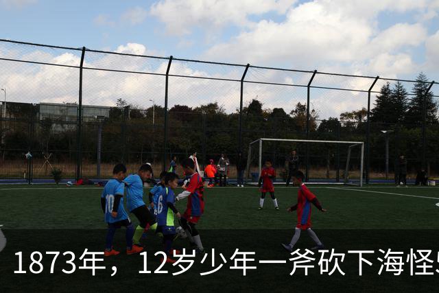 1873年，12岁少年一斧砍下海怪5.8米巨手，科学家追查150年终于拍到真身！